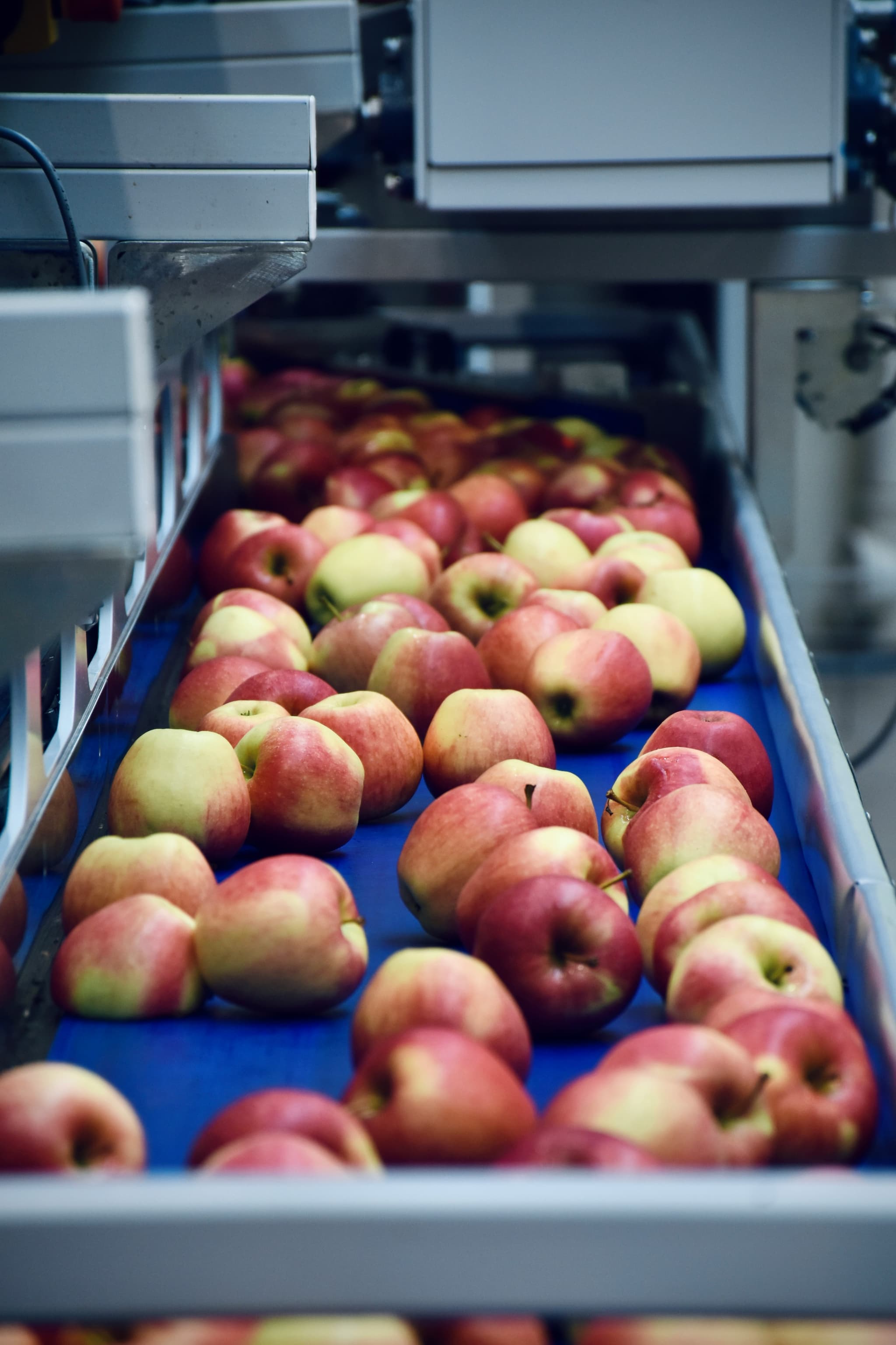 manufacturing industrial food production and processing environment