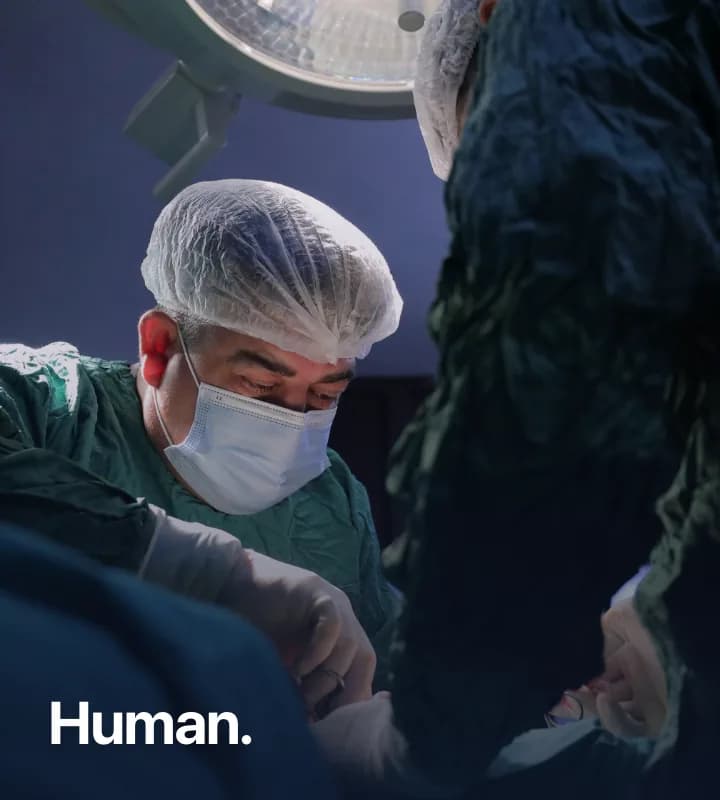 Human — expert handling judgment work in a regulated industry